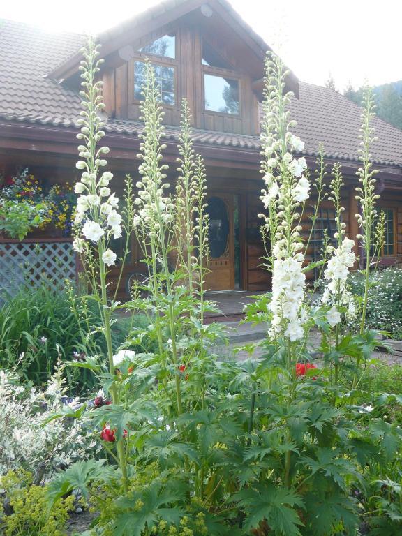 Hitching Post Resort Kelowna Room photo